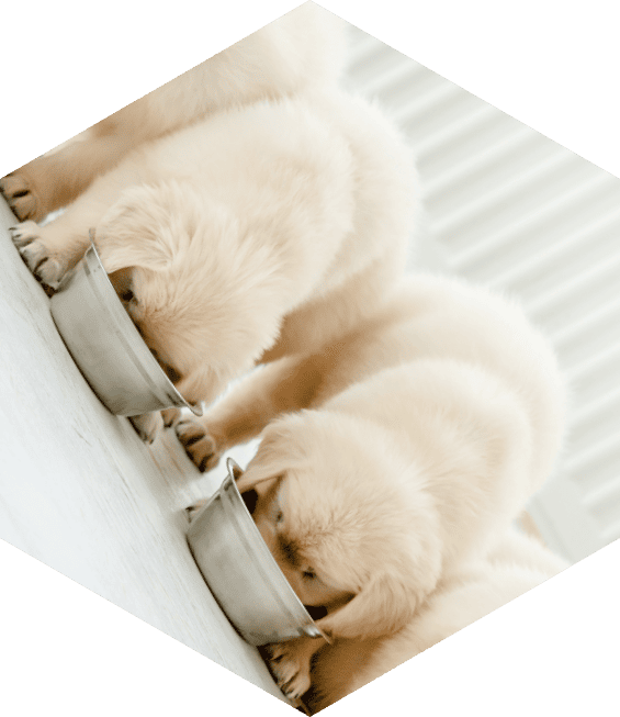 ヨウ素が繋ぐ、世界のくらしと未来。